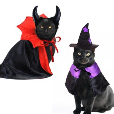 Purr-fectly Boo-tiful: Dressing Your Cat for a Safe and Stylish Halloween